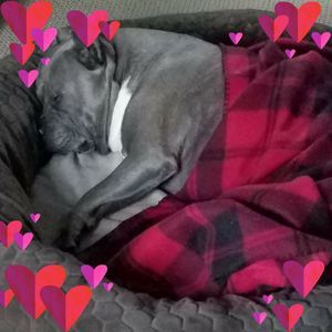 Meet your Posher, Jeannine